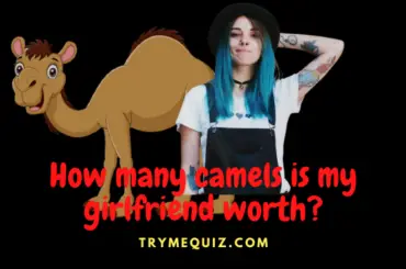 how many camels is my girlfriend worth?