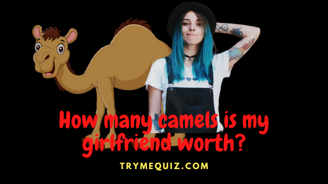 how many camels is my girlfriend worth?