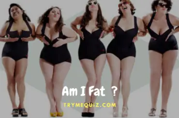 Am I Fat Quiz