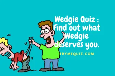 Wedgie Quiz Find out what deserves you.