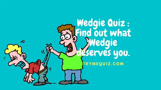 Wedgie Quiz Find out what deserves you.