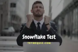 Snowflake Test