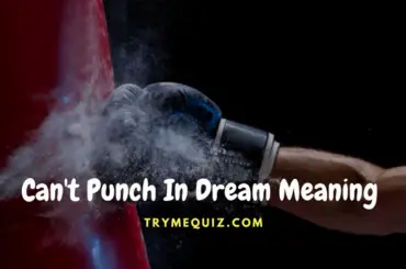 Can't Punch In Dream Meaning