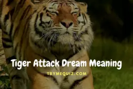 Tiger Attack Dream Meaning
