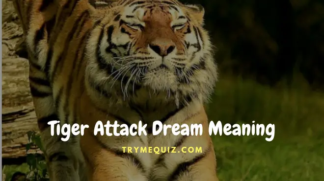 Tiger Attack Dream Meaning
