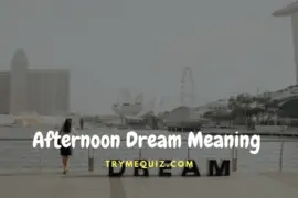 Afternoon Dream Meaning